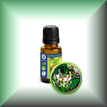 Honeysuckle Essential Oil (Lonicera caprifolium)