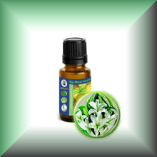 Lily Absolute Oil (Lilium Auratum)