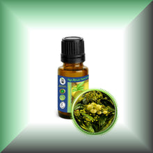 Mimosa Absolute Oil (Acacia Mearnsii)