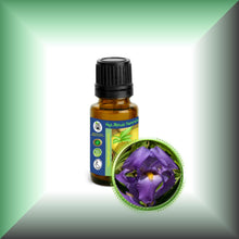 Orris Root Absolute Oil (Iris Pallida)