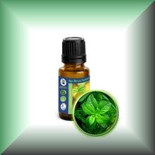 Peppermint Essential Oil (Mentha Piperata)