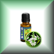 Tuberose Absolute Oil (Polianthes Tuberosa)