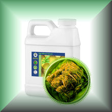 Carrot Seed Essential Oil (Daucus Carota) *Very High Carotol 70%*