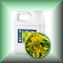 Cassie Sweet Absolute Oil (Acacia Farnesiana)