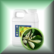 Champaca *White* Absolute Oil (Magnolia Alba)