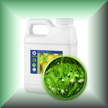 Fougere Absolute Oil