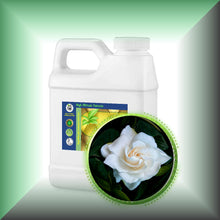 Gardenia Absolute Oil (Gardenia Jasminoides) Bulk
