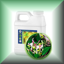 Honeysuckle Essential Oil (Lonicera caprifolium)