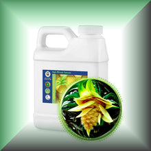 Kewra Absolute Oil (Pandanus odoratissimus)
