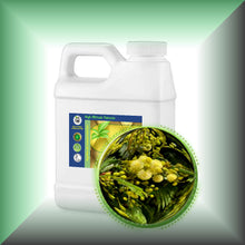 Mimosa Absolute Oil (Acacia Mearnsii)