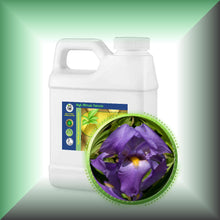 Orris Root Absolute Oil (Iris Pallida)