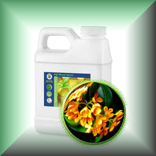 Osmanthus Absolute Oil (Osmanthus Fragrans)