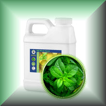 Peppermint Essential Oil (Mentha Piperata)