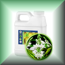 Tuberose Absolute Oil (Polianthes Tuberosa)
