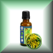 Cassie Sweet Absolute Oil (Acacia Farnesiana)