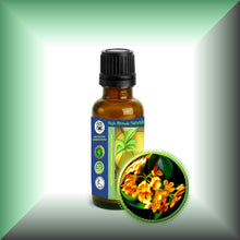 Osmanthus Absolute Oil (Osmanthus Fragrans)