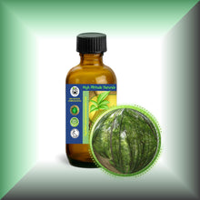 Birch *Black, Sweet* Bark Essential Oil (Betula Lenta)