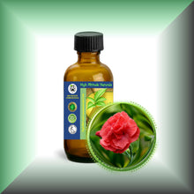 Carnation Absolute Oil (Dianthus Caryophyllus)