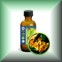 Osmanthus Absolute Oil (Osmanthus Fragrans)