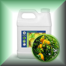 Bitter *Seville* Orange Essential Oil (Citrus Aurantium)
