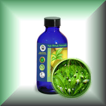 Fougere Absolute Oil