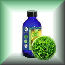 Green Tea Absolute Essential Oil (Camellia Sinensis)