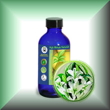 Lily Absolute Oil (Lilium Auratum)