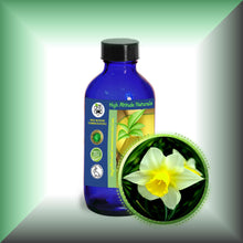 Narcissus Daffodil Essential Oil (Narcissus Poeticus)