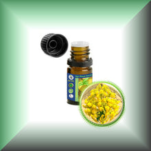 Asafoetida Essential Oil (Ferula Assa-Foetida)