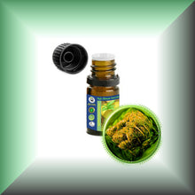 Carrot Seed Essential Oil (Daucus Carota) *Very High Carotol 70%*
