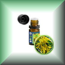 Cassie Sweet Absolute Oil (Acacia Farnesiana)