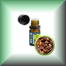 Coffee Essential Oil (Coffea Arabica)