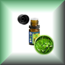 Fougere Absolute Oil