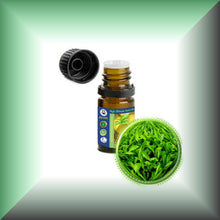 Green Tea Absolute Essential Oil (Camellia Sinensis)