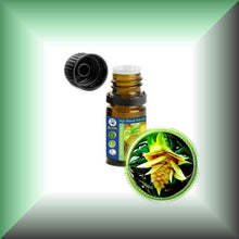 Kewra Absolute Oil (Pandanus odoratissimus)