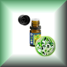 Lily Absolute Oil (Lilium Auratum)