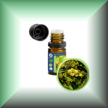 Mimosa Absolute Oil (Acacia Mearnsii)
