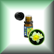 Narcissus Daffodil Essential Oil (Narcissus Poeticus)
