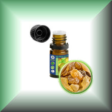 Olibanum *Sacred Frankincense* Essential Oil (Olibanum Sacra)