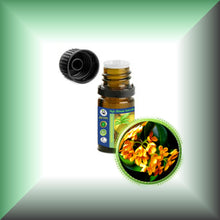 Osmanthus Absolute Oil (Osmanthus Fragrans)