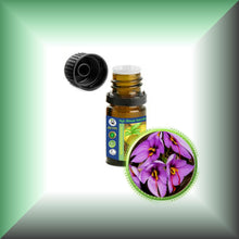 Saffron Essential Oil (Crocus sativus)