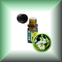 Tuberose Absolute Oil (Polianthes Tuberosa)