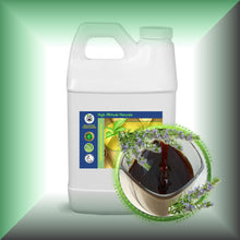 Rosemary Oleoresin (ROE) Extract