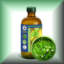 Fougere Absolute Oil