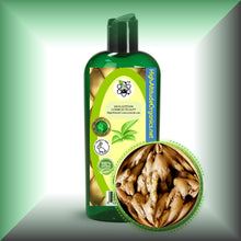 Ginger Root Oil Extract (Zingiber officinale)