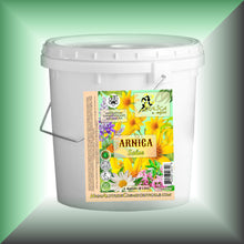 ARNICAmfort™ Arnica Salve