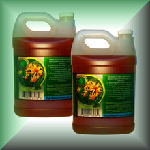 Arnica Oil - Gallon x2, bulk, wholesale