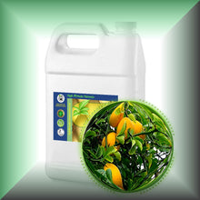 Bitter *Seville* Orange Essential Oil (Citrus Aurantium)