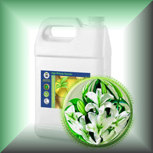 Lily Absolute Oil (Lilium Auratum)