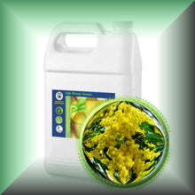 Cassie Sweet Absolute Oil (Acacia Farnesiana)